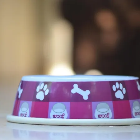 Apartamento San Cataldo