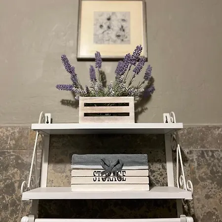 San Cataldo * Modena