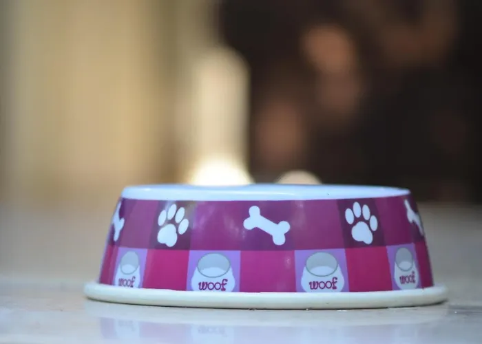 Apartmán San Cataldo